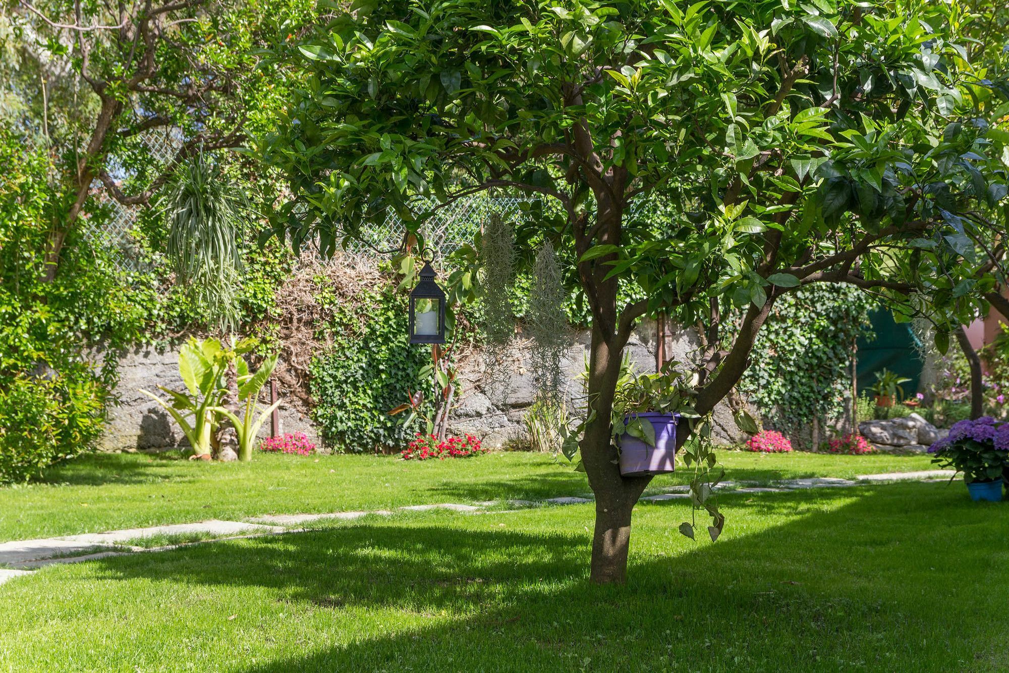 Villa Paola Loano Eksteriør bilde
